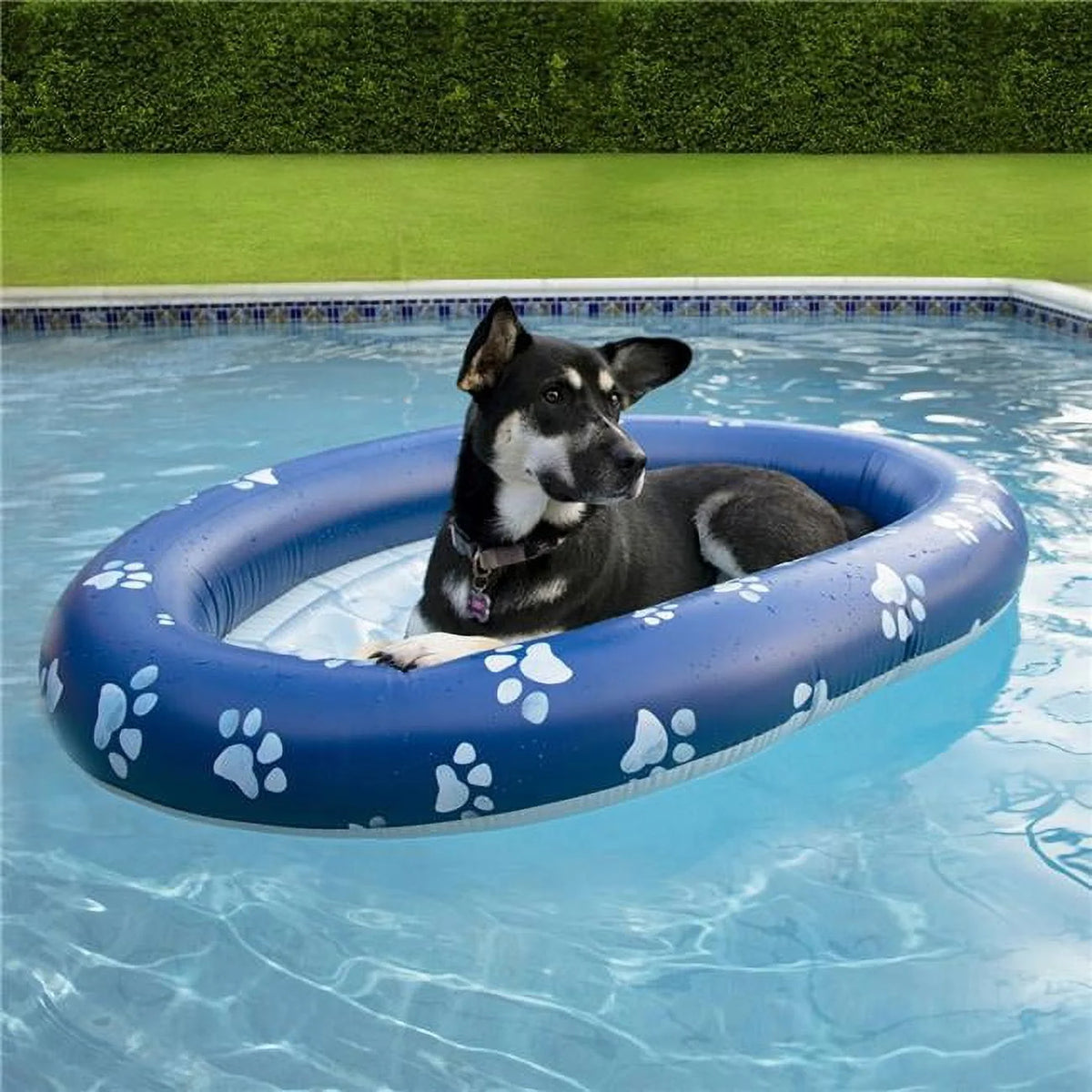 Dog Pool Float and Lounger, Blue F16799