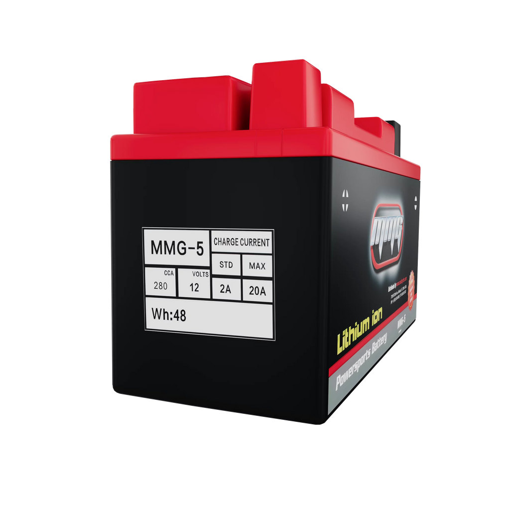12V 280 CCA Lithium Ion Sealed Battery T92562