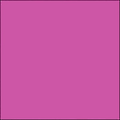 Middle Rose Filter Q648985