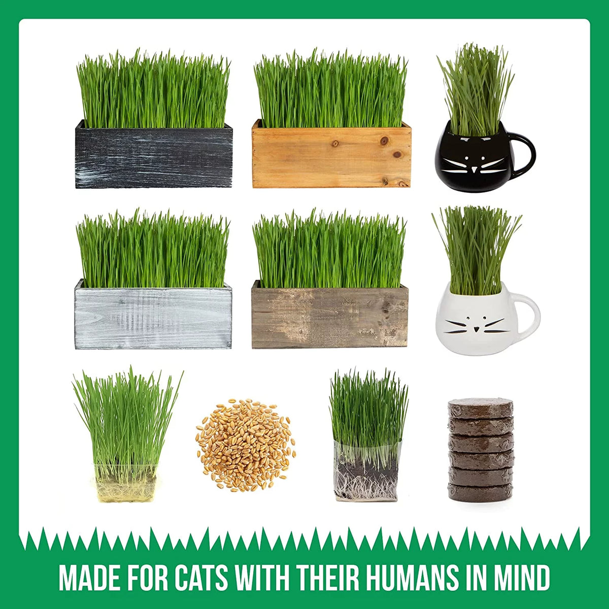 Organic Cat Grass Kit with Wood Planter, Seed and Soil F495