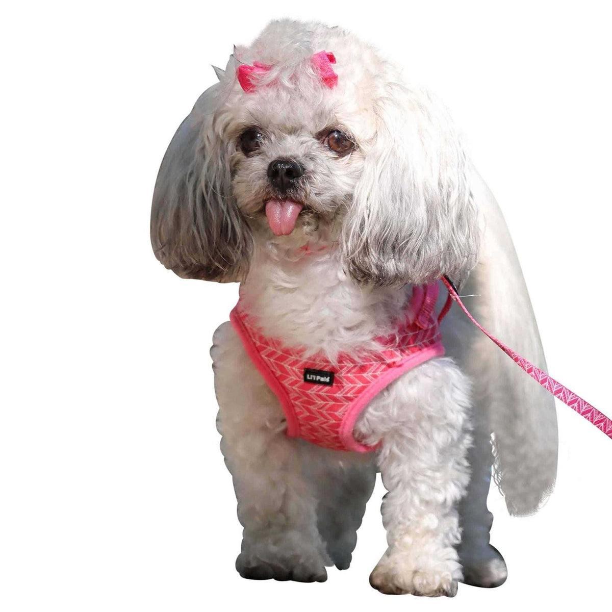 Canvas Dog Harness J3492