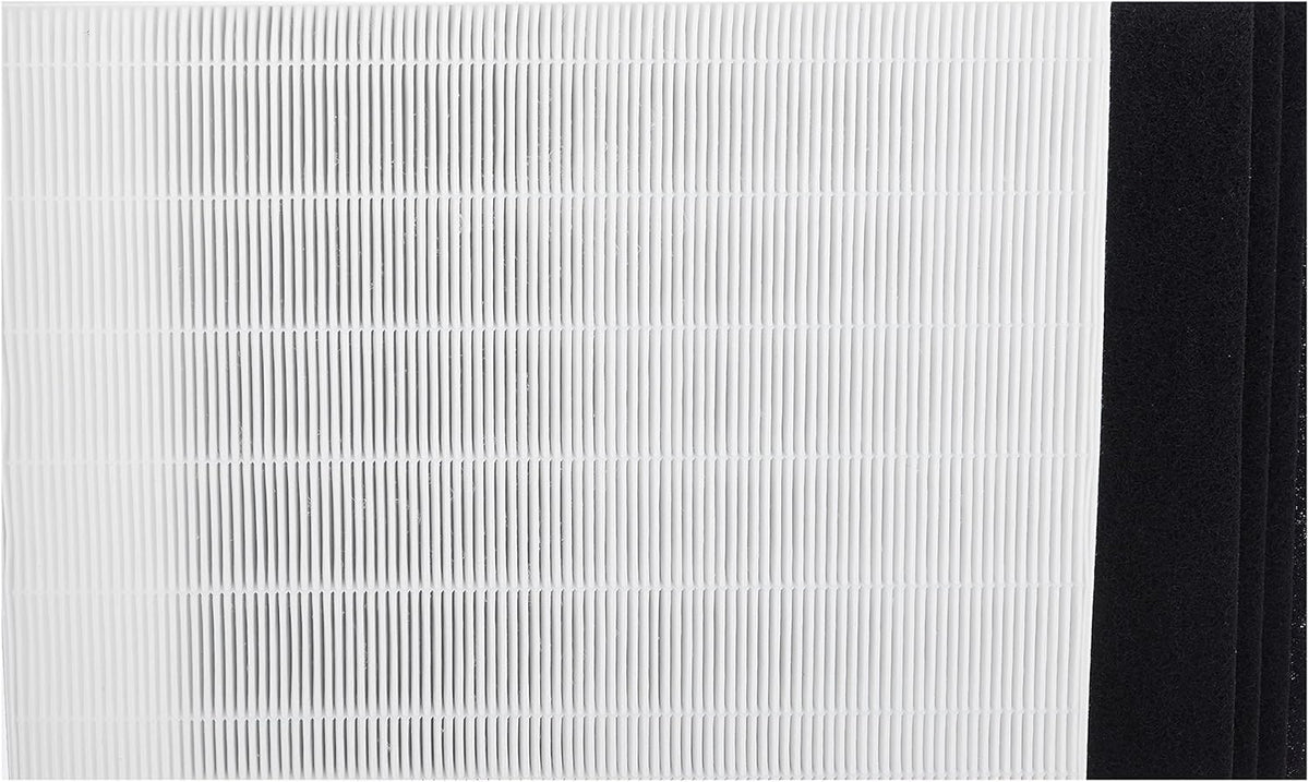 Replacement Filter Pack of 2 Q173