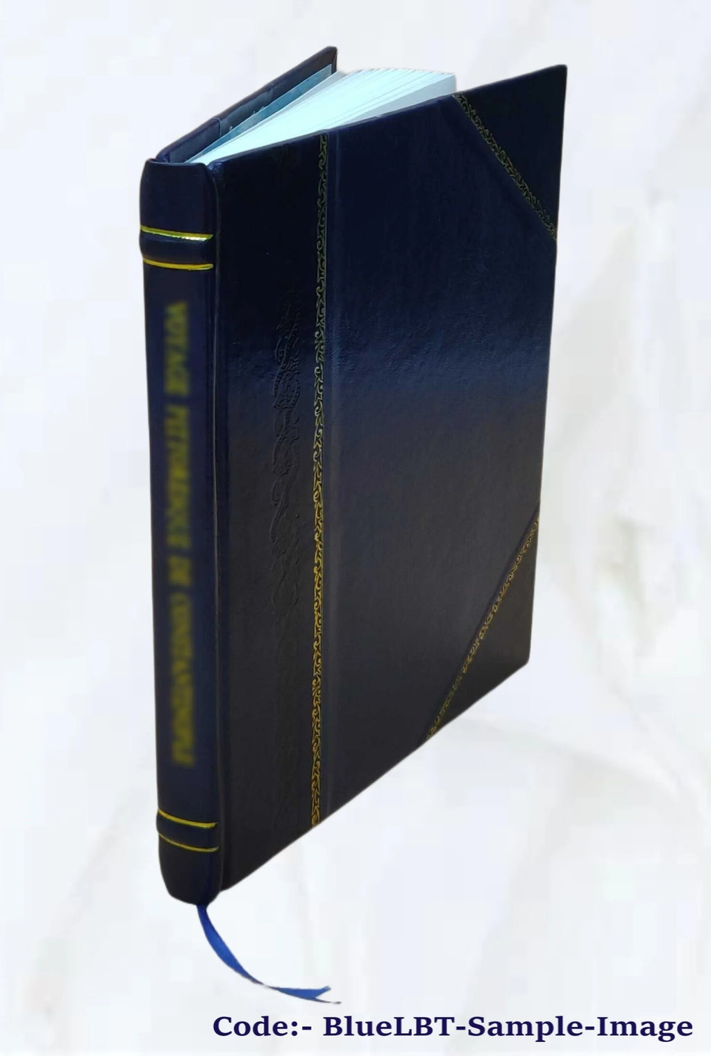 Leather Bound Book D229