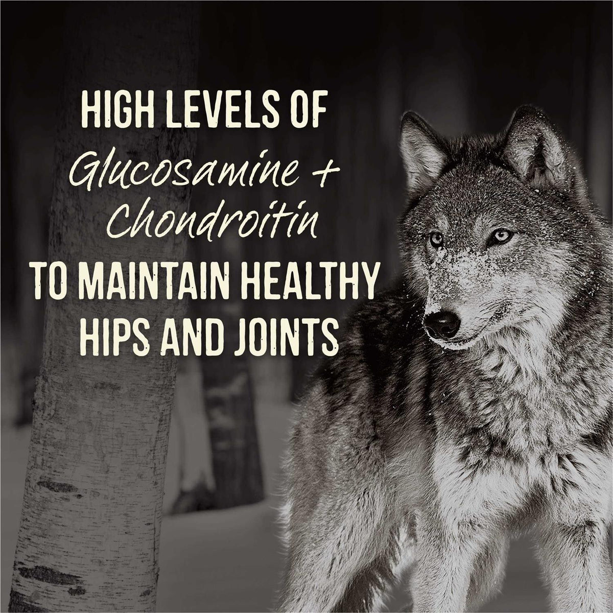96% Real Beef Grain Free Canned Dog Food L51072