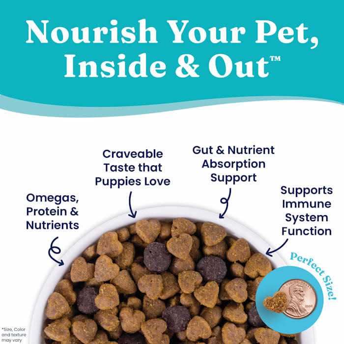 Solid Gold Chicken Dry Dog Food T7121