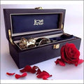 24 Karat Gold Dipped Natural Rose N22057