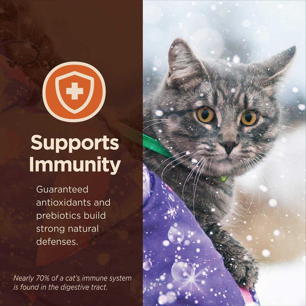 Digestive Health Pate Recipe Wet Cat Food F920196