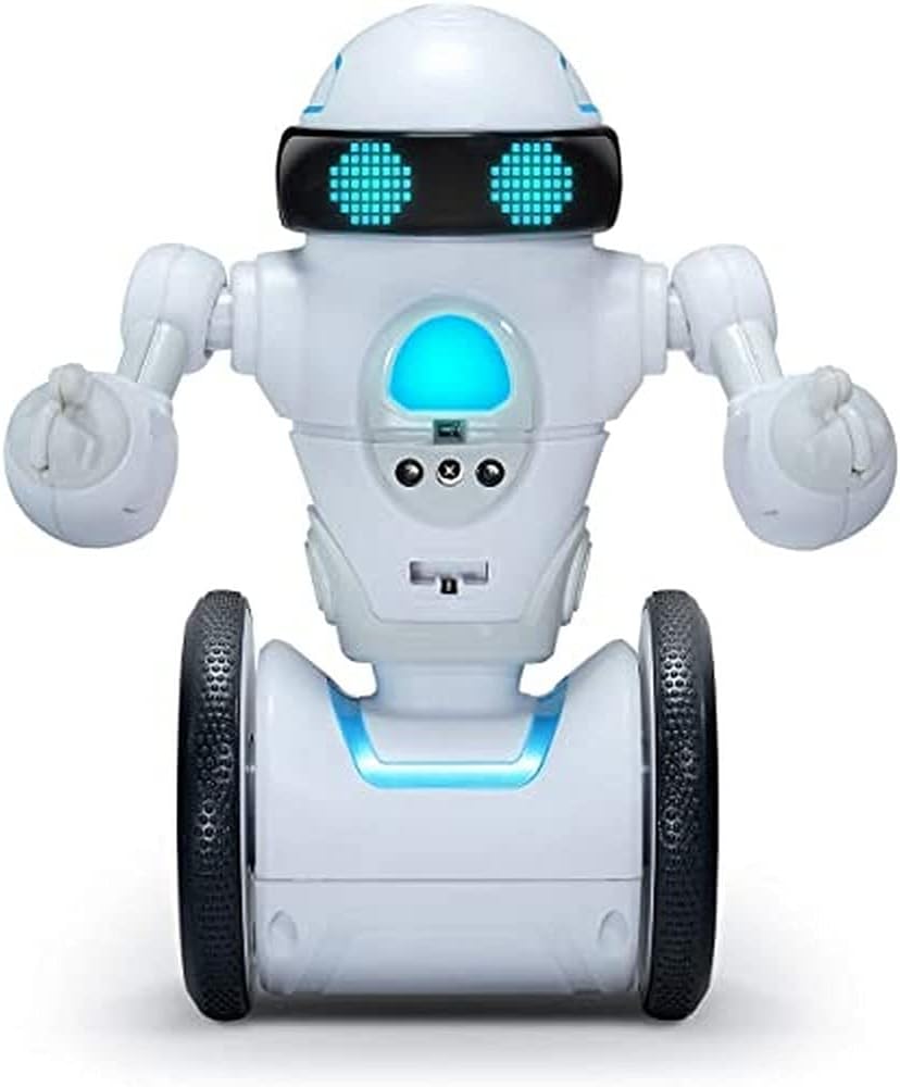 Interactive Self-Balancing Robot P10088