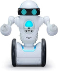 Interactive Self-Balancing Robot P10088