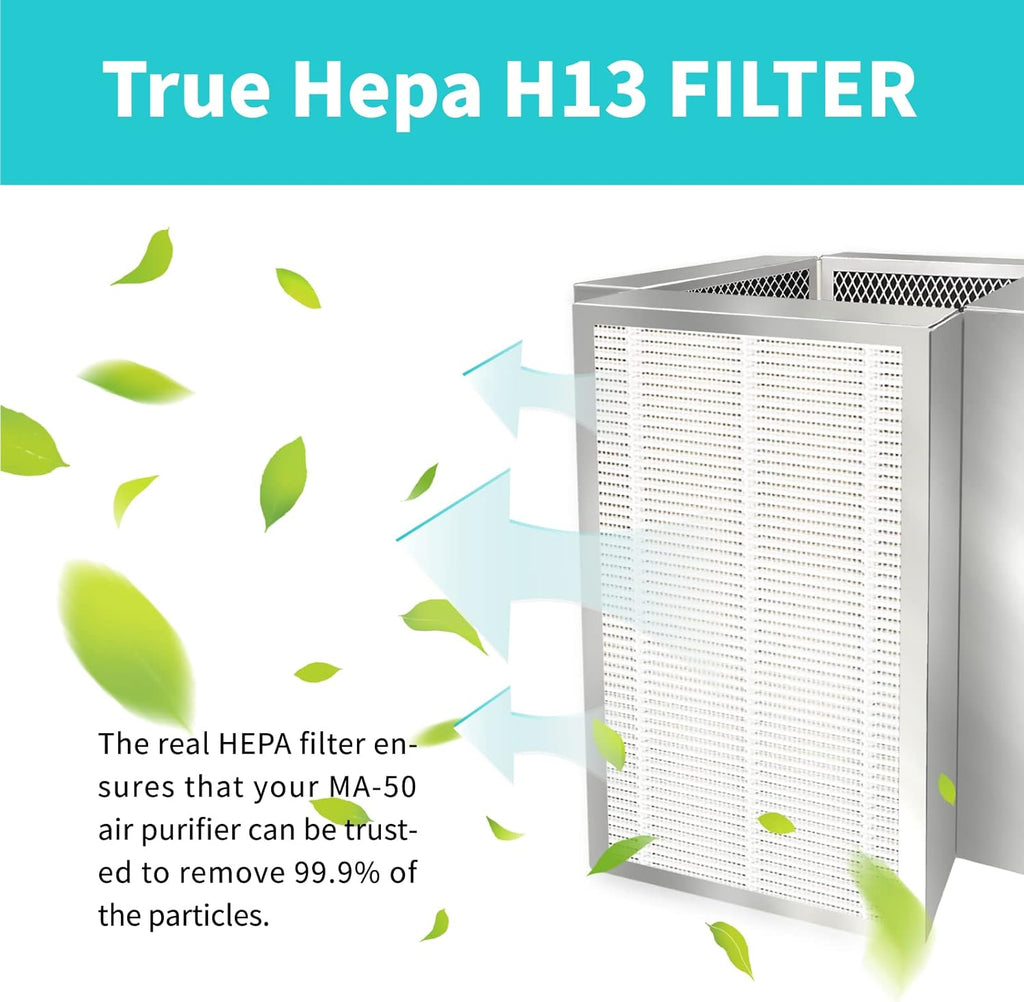 H13 HEPA Replacement Filter Pack of 2 P17970
