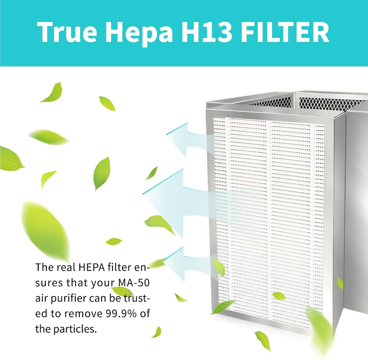 H13 HEPA Replacement Filter Pack of 2 P17970