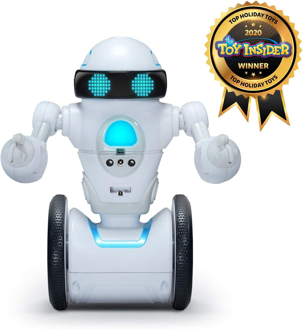 Interactive Self-Balancing Robot P10088