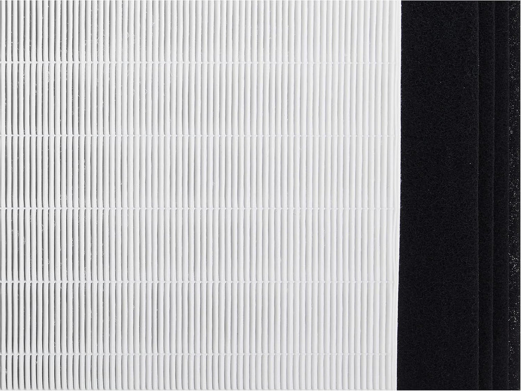 Replacement Filter Pack of 2 Q173