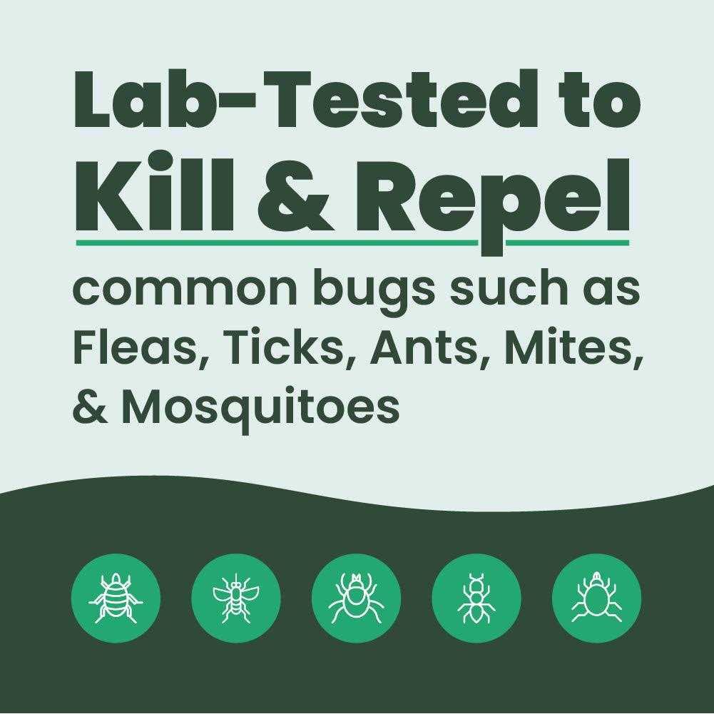 Bug Spray & Repellent X33337