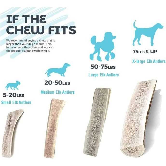 Split Elk Antlers for Dogs W628