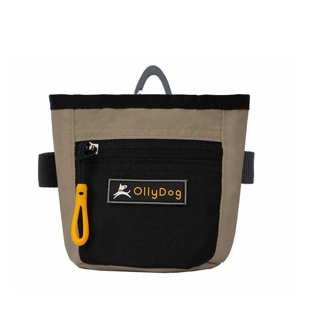 Treat Bag V362430
