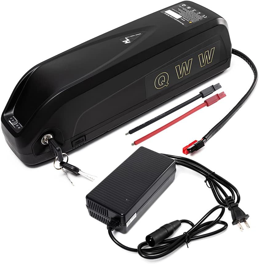 48V Lithium ion Batteries 10AH-20AH with Charger T931