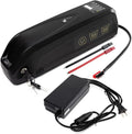 48V Lithium ion Batteries 10AH-20AH with Charger T931