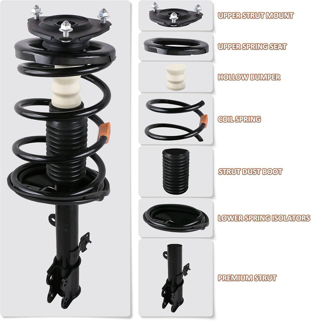 Rear Complete Strut Spring Shock Absorber T193764