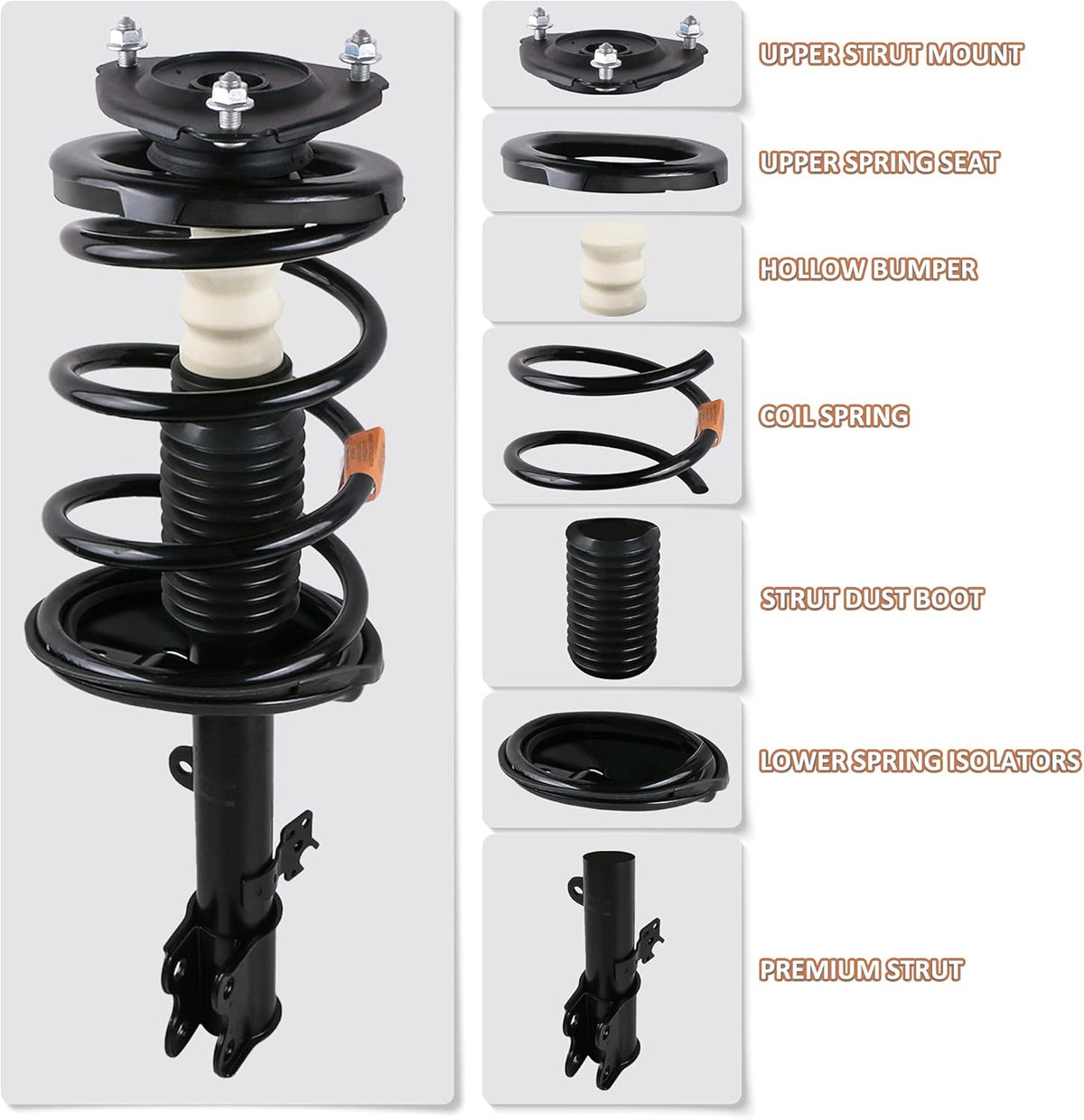 Rear Complete Strut Spring Shock Absorber T193764