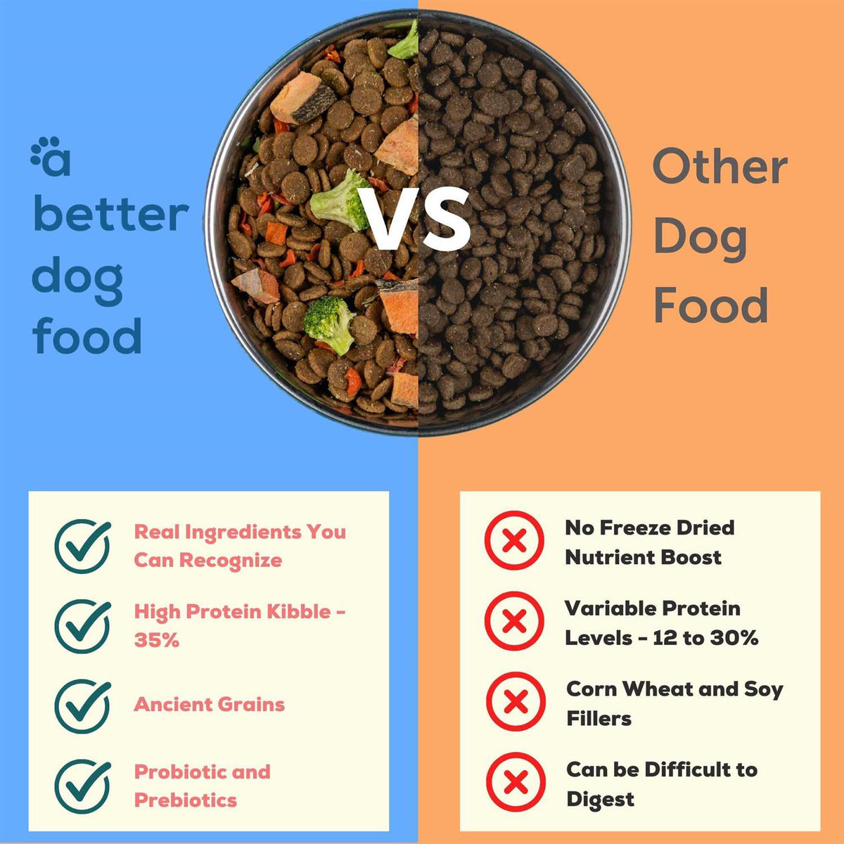 Salmon Raw Dog Food S6194