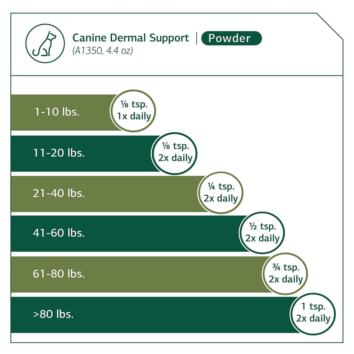 Dermal Support W9785