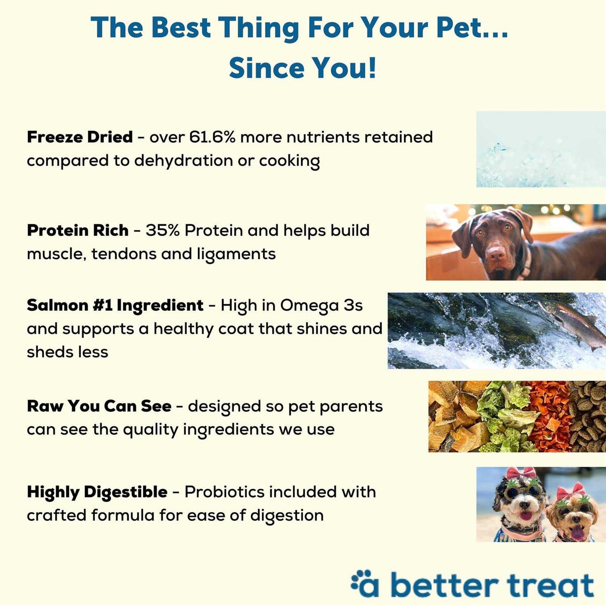 Salmon Raw Dog Food S6194