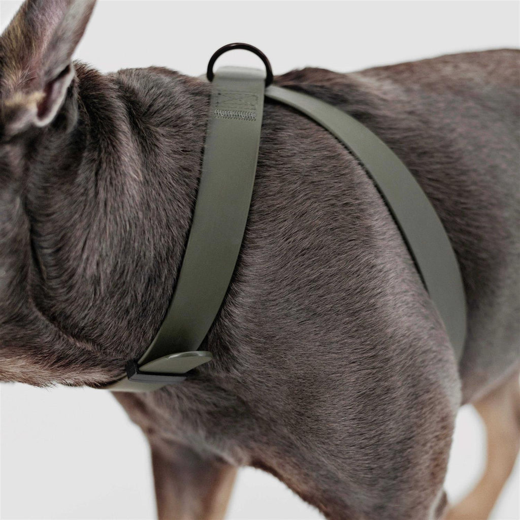 Dog Harness Dog Leash K455
