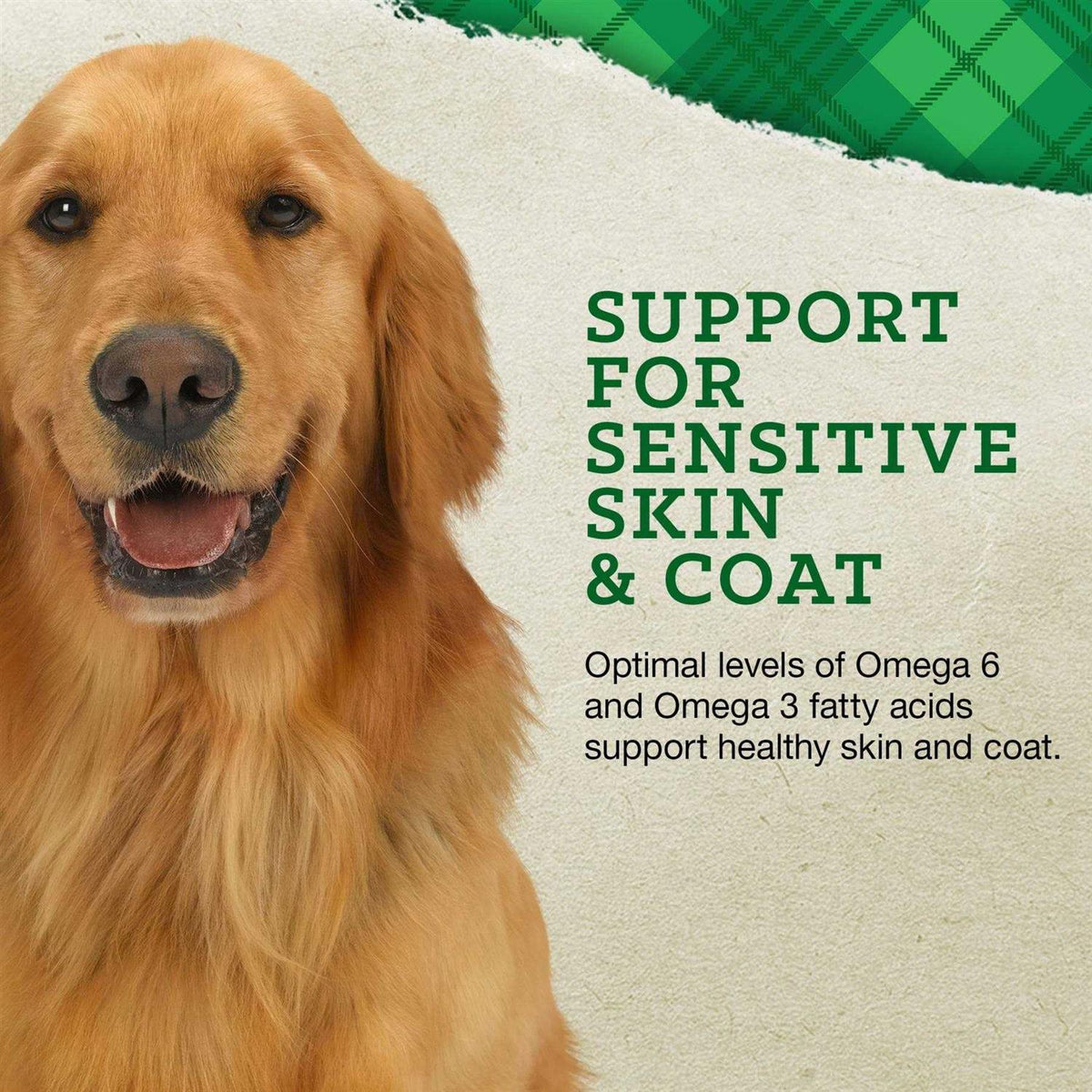Sensitive Skin & Coat Salmon & Oatmeal Recipe Dog Food S914074