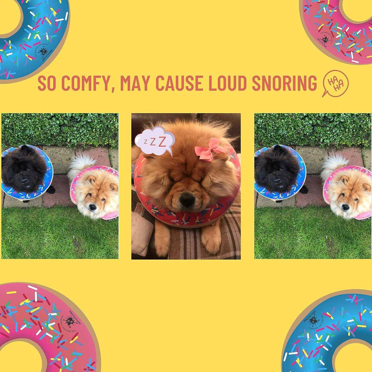 Dog Donut Collar N392