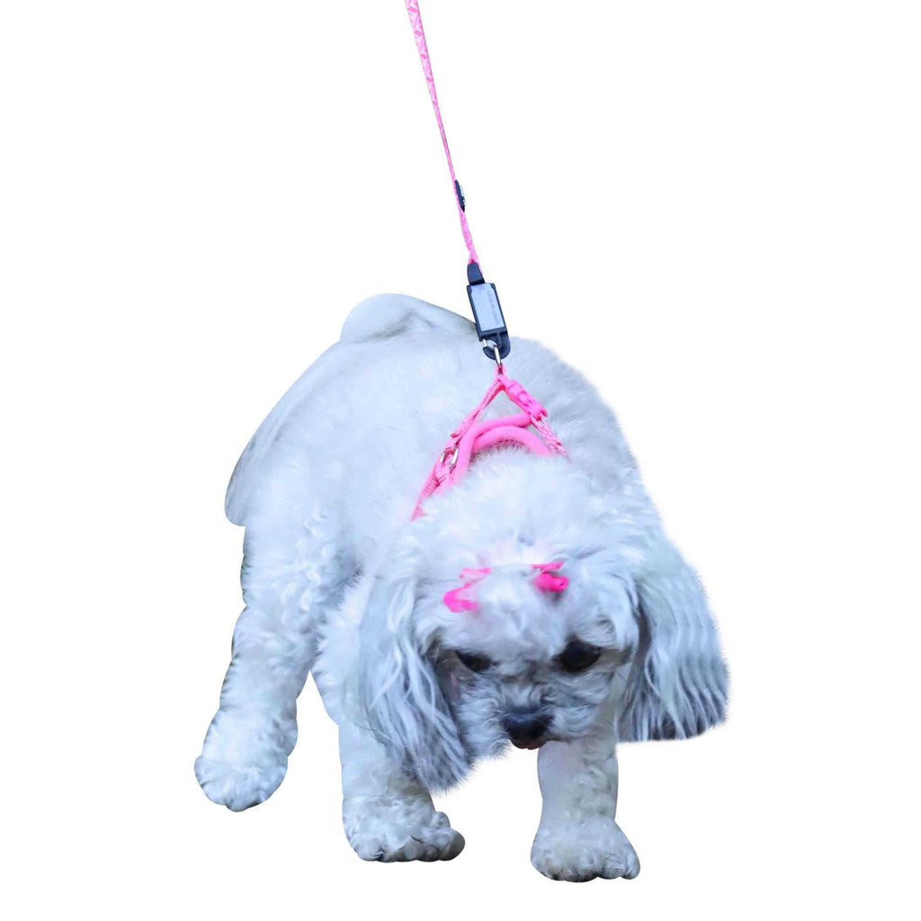 Canvas Dog Harness J3492