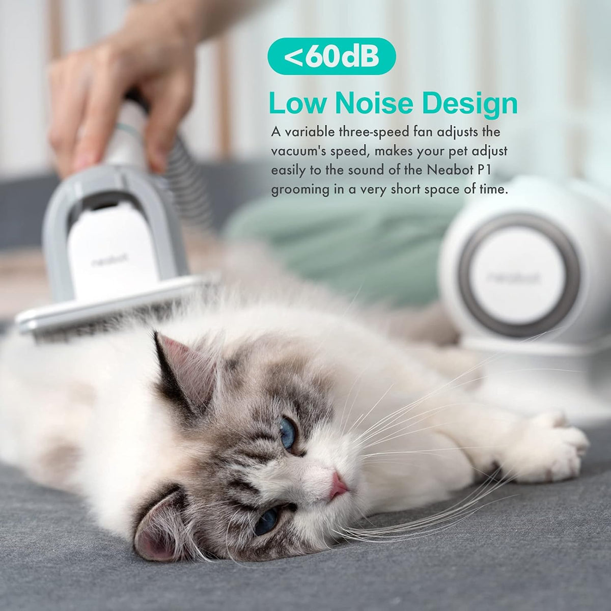 Pet Grooming Kit & Vacuum Suction with 5 Grooming Tools G590