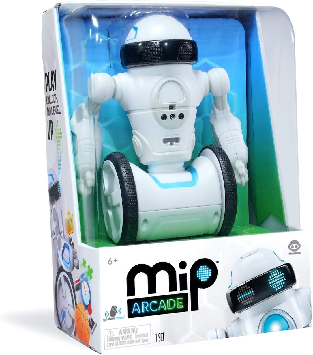 Interactive Self-Balancing Robot P10088