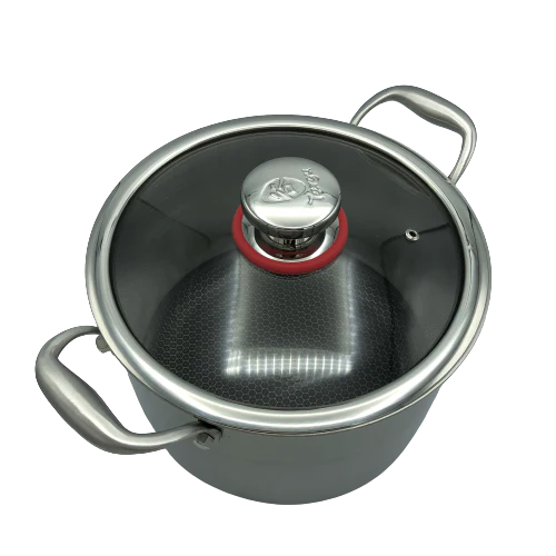 24cm Hybrid Stock Pot with Glass Lid N572