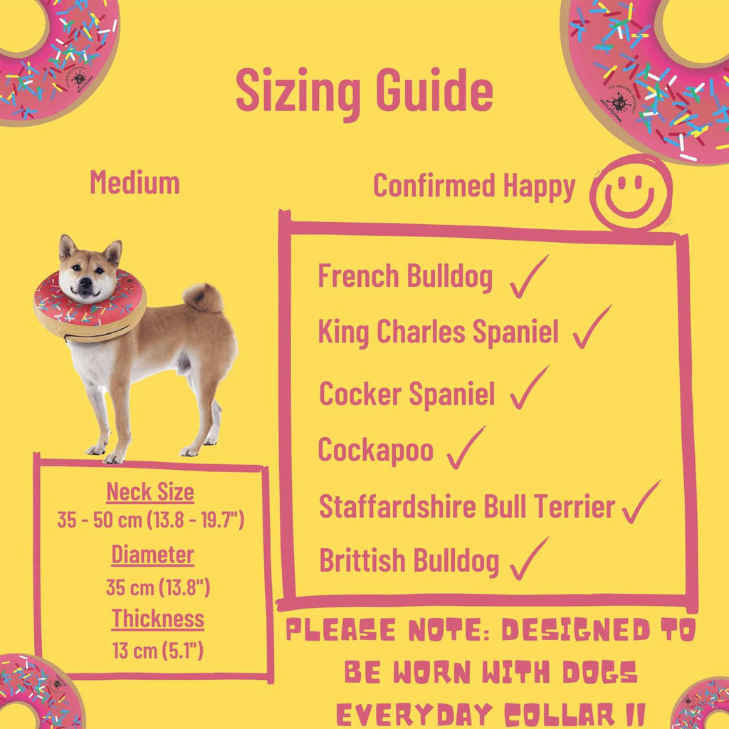 Dog Donut Collar N392