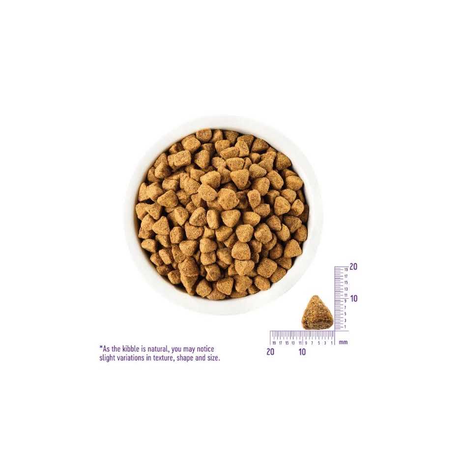 Deboned Chicken & Chicken Meal Grain-Free Dry Dog Food W9729