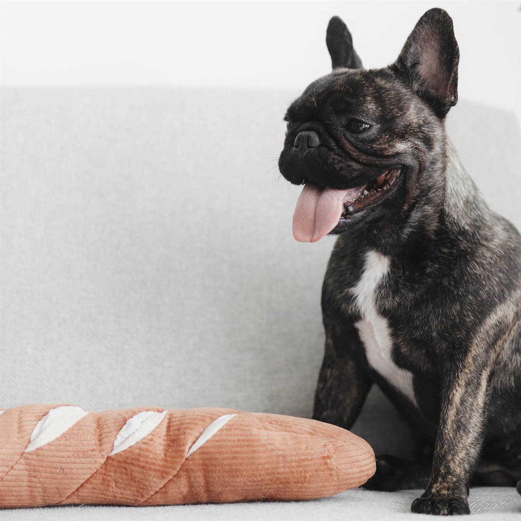 Baguette Enrichment Dog Toy M5920