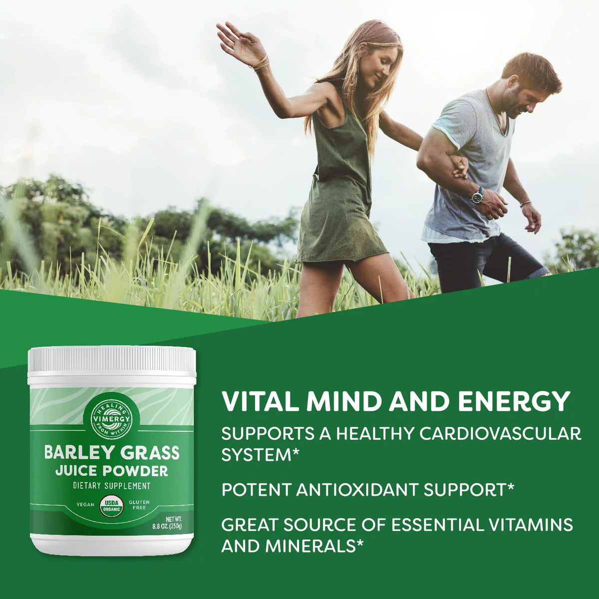 USDA Organic Barley Grass Juice Powder B92141