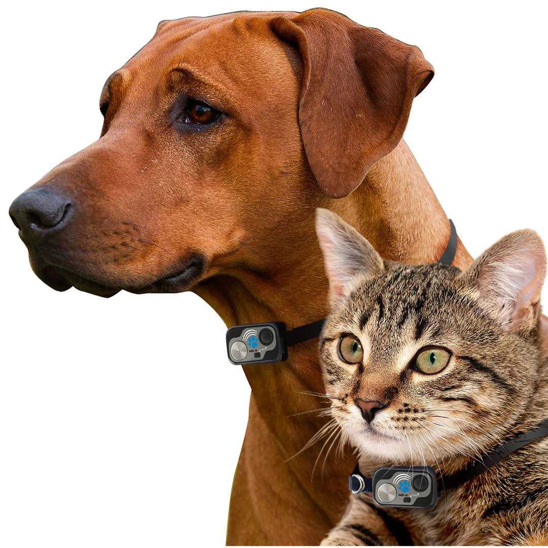 Automatic Dog and Cat Door E7257
