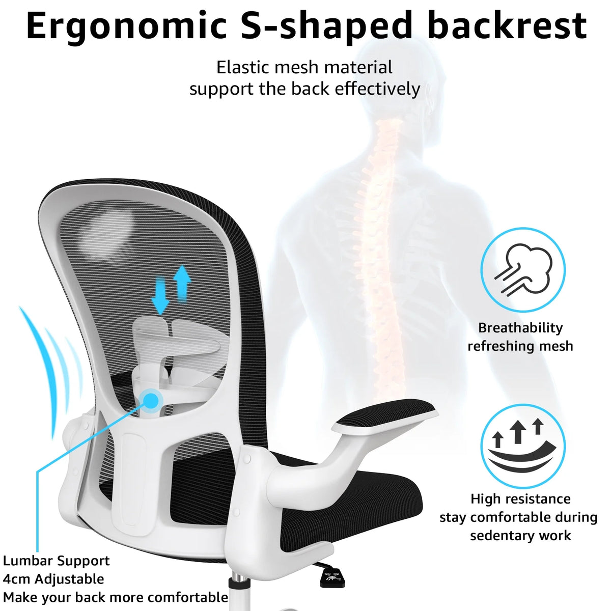 Ergonomic Office Chair with Lumbar Support and Adjustable Height Q5961