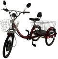 Adult Electric Tricycle M803