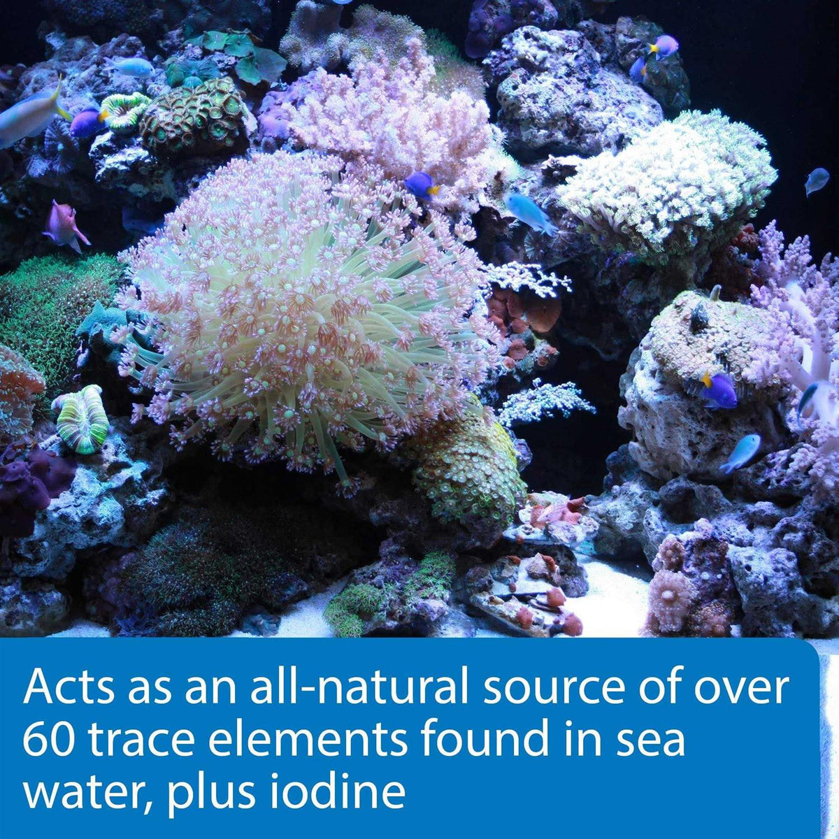 Aquarium Water Conditioner B166665