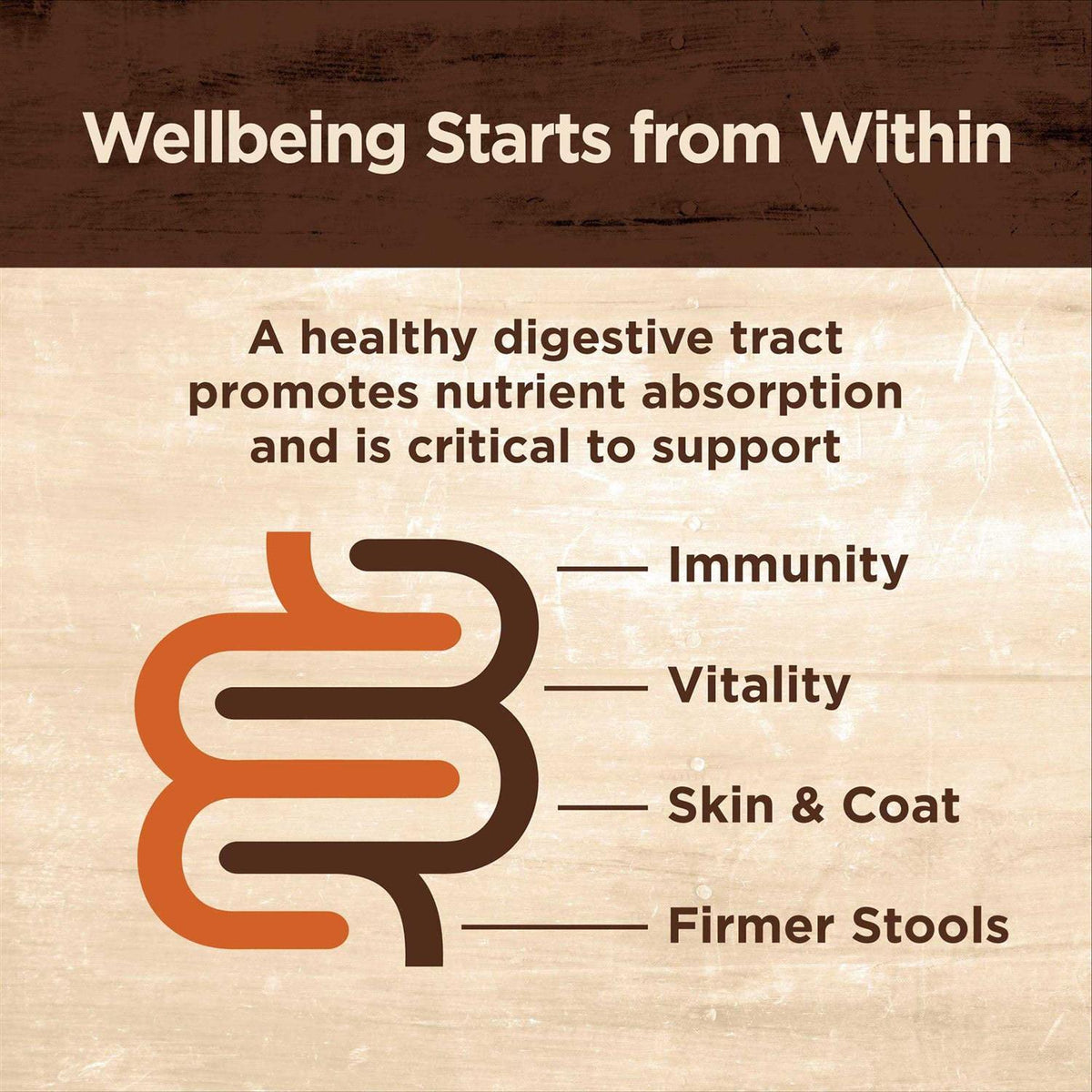 Digestive Health Pate Recipe Wet Cat Food F920196