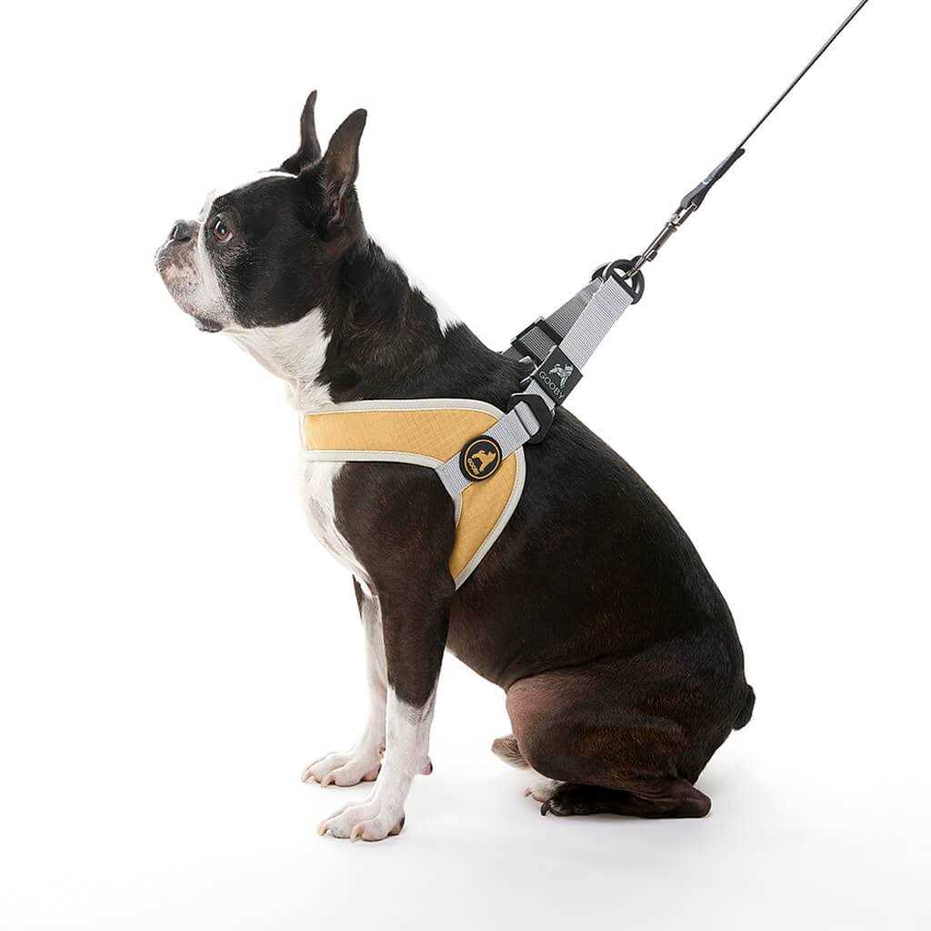 Step-In Dog Harness A801