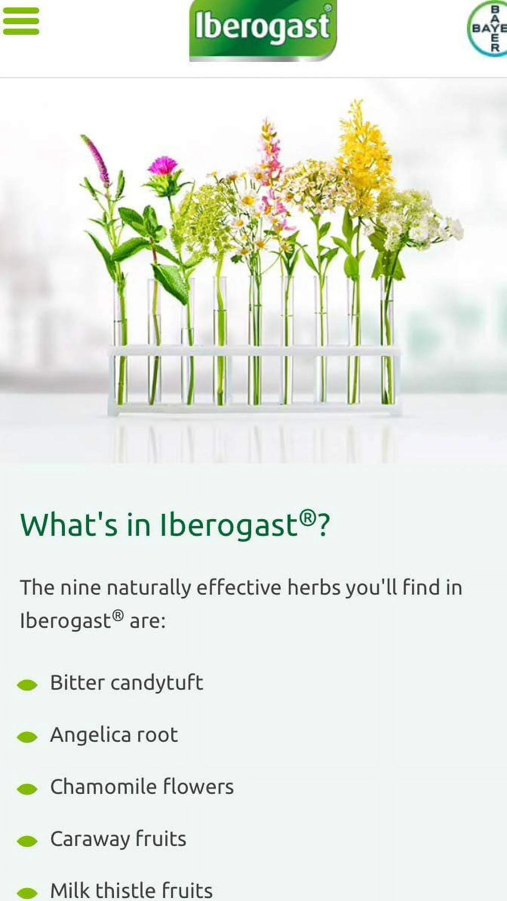 100 ml 3.4 oz Iberogast Liquid L934