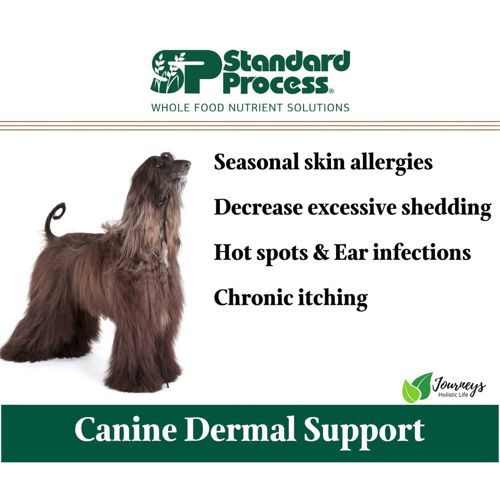 Dermal Support W9785