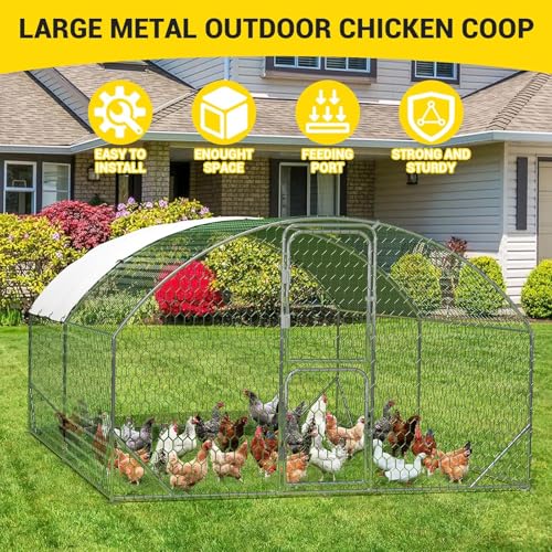 Large Metal Chicken Coop with Run T47154