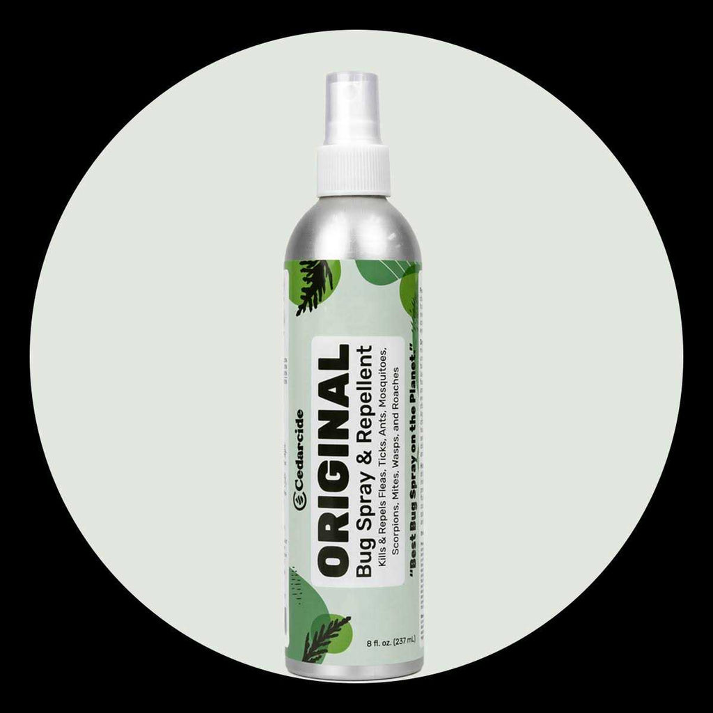Bug Spray & Repellent X33337