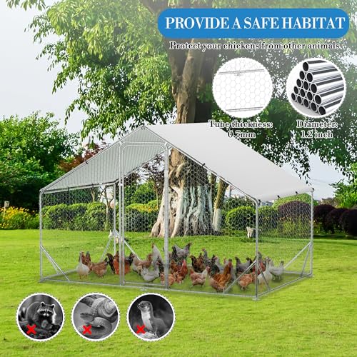 Large Metal Chicken Coop with Run T47154