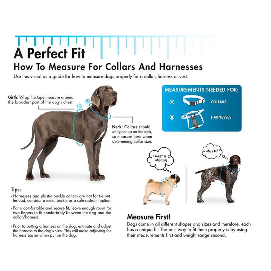 Nylon Pet Collar H337903